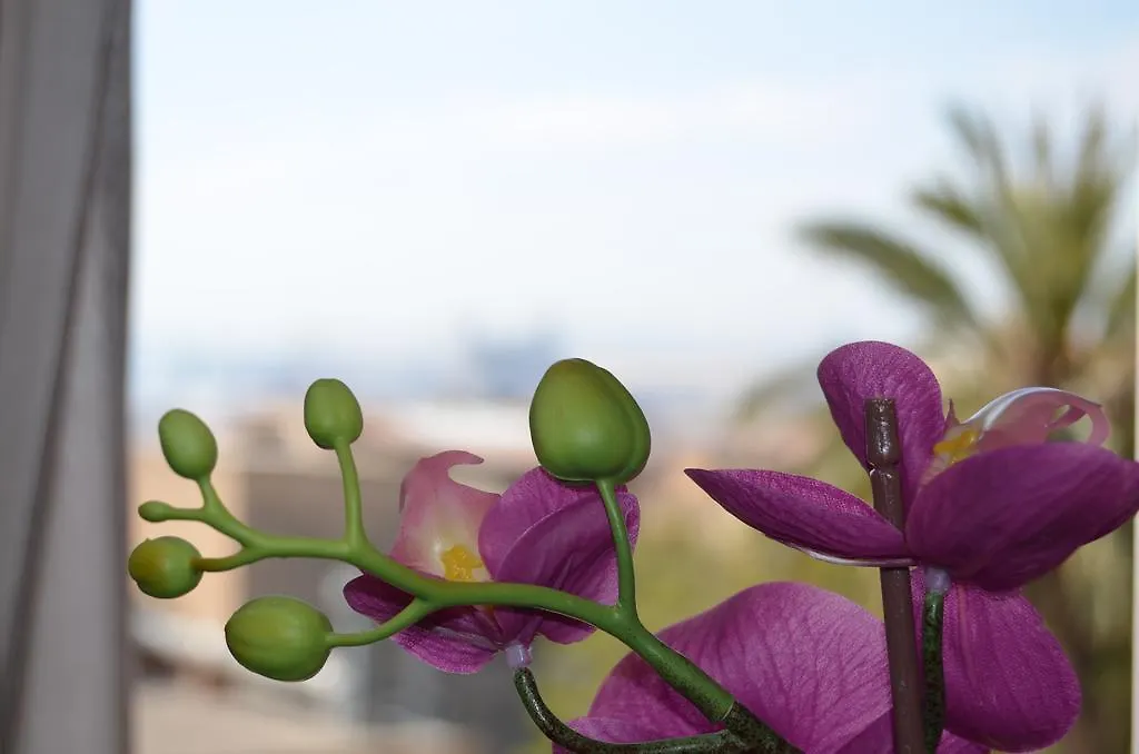 Apartsuits Tarragona Rambla Nova 24 Apartment