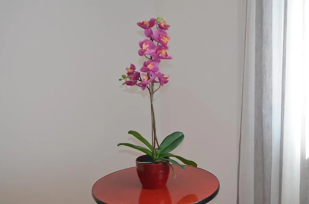 Apartsuits Tarragona Rambla Nova 24 0*,
